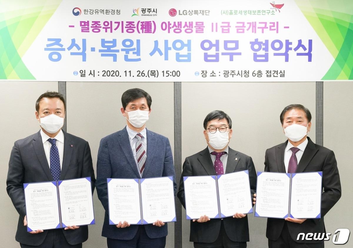 본문 이미지 - 광주시가 멸종위기 야생생물 Ⅱ급 금개구리 증식·복원을 위한 업무협약을 체결했다.(광주시 제공)ⓒ 뉴스1