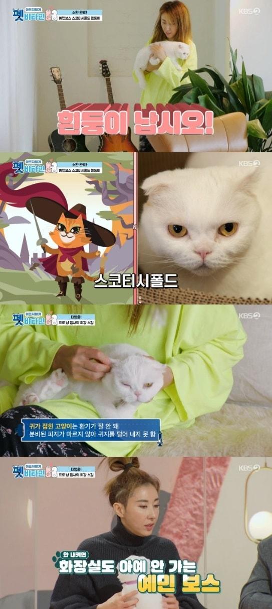 본문 이미지 - KBS 2TV '펫 비타민' 방송 화면 캡처 ⓒ 뉴스1