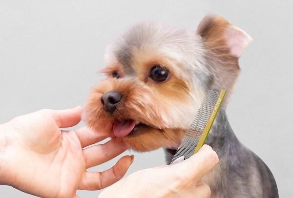 본문 이미지 - ⓒ 뉴스1