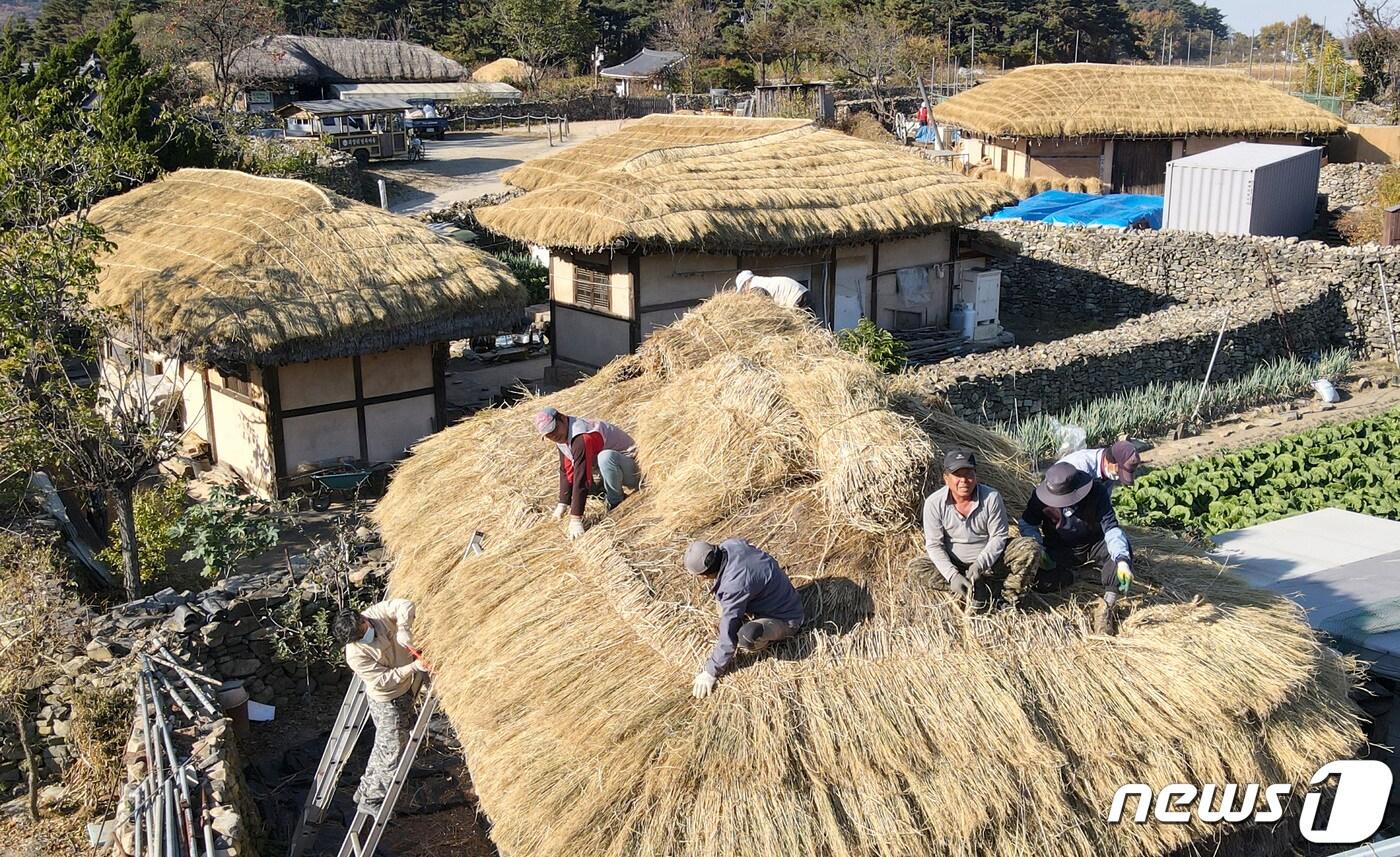 충남 아산 송악면 외암민속마을에서 주민들이 초가지붕에 이엉을 새로 얹는 모습 (자료사진) 2020.11.4/뉴스1 ⓒ News1 김기태 기자