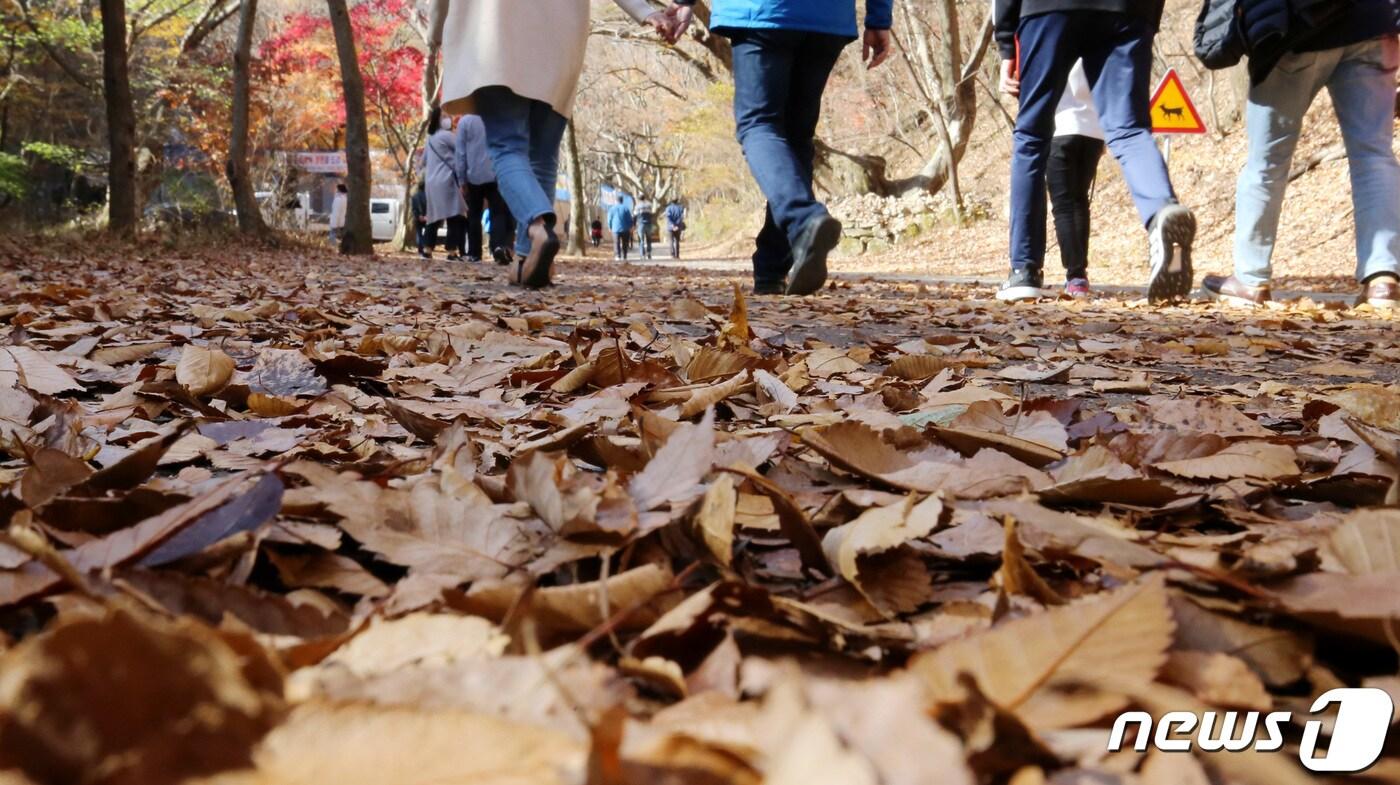 충남 공주 반포면 계룡산국립공원을 찾은 나들이객들이 저물어가는 가을의 정취를 즐기고 있다. 뉴스1 ⓒ News1 김기태 기자