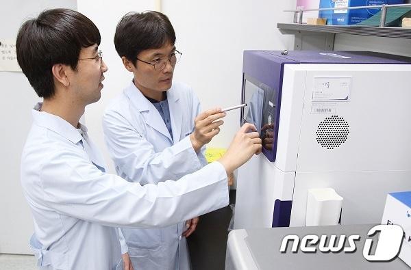 본문 이미지 - 한국생명공학연구원 유전자교정연구센터 김대식 박사(왼쪽)와 김용삼 박사. ⓒ뉴스1