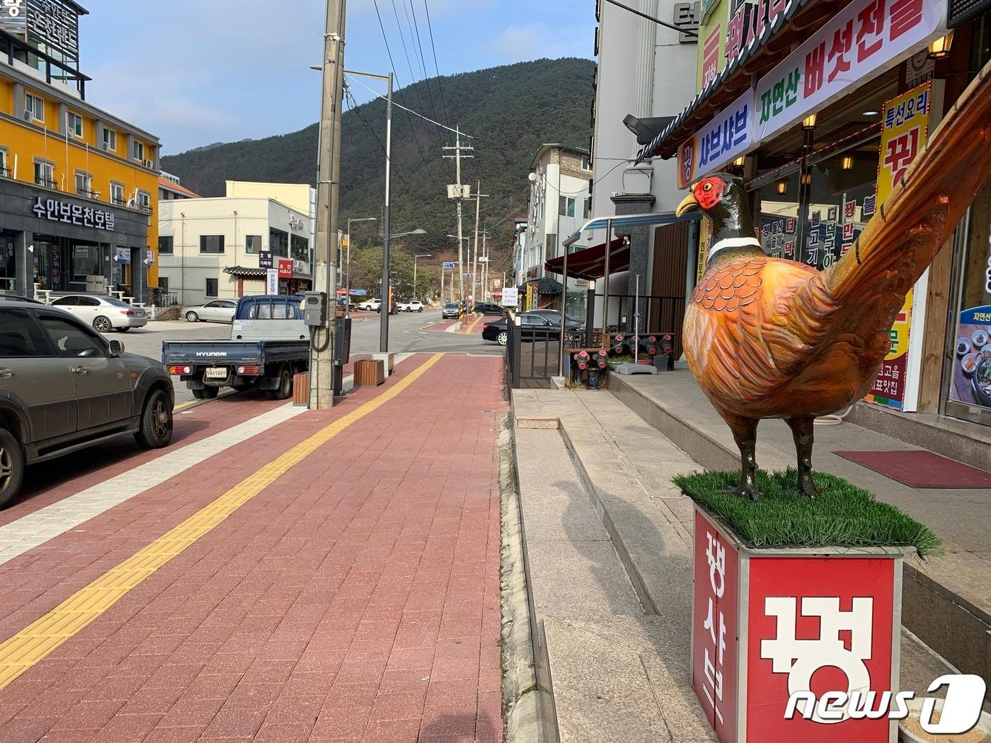 본문 이미지 - 충북 충주시가 수안보온천을 휴양·의료관광 중심지로 개발한다는 계획을 밝혔다. 사진은 인적 없는 평일 수안보 거리.2021.10.1/ⓒ 뉴스1