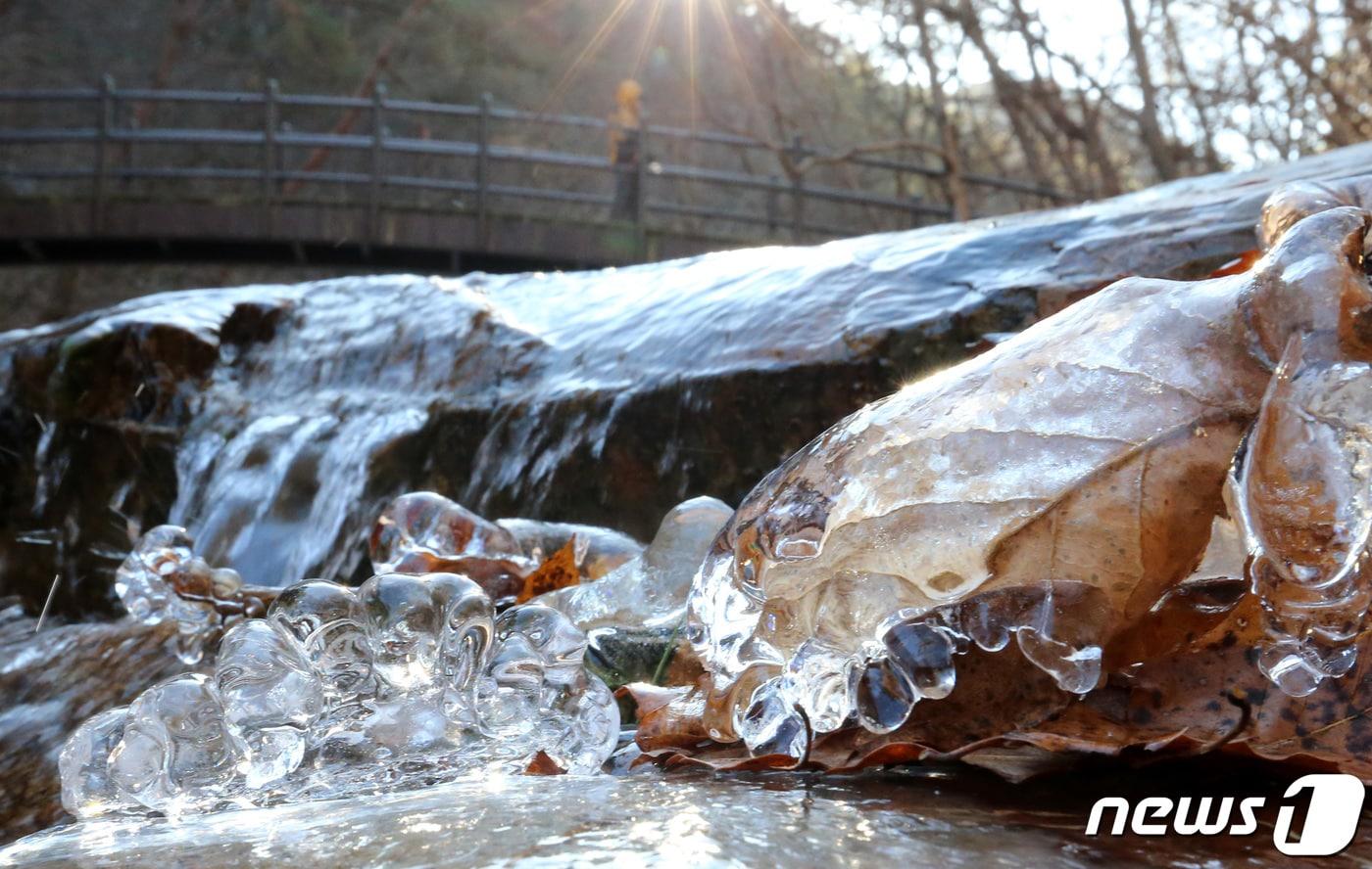 영하의 추운 날씨를 보인 대전 유성구 계룡산국립공원 내 수통골 계곡에 얼음이 얼어 있다. /뉴스1 ⓒ News1 김기태 기자