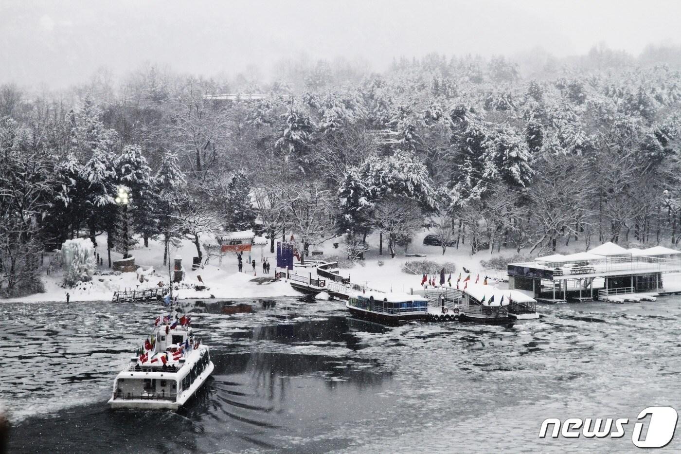 남이섬의 겨울 ⓒ 뉴스1