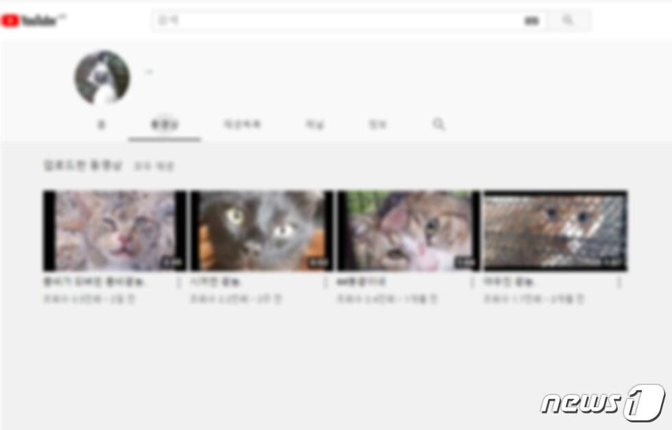 본문 이미지 - 사진 고양이 학대 유튜브 영상 갈무리 ⓒ 뉴스1