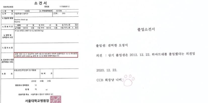 본문 이미지 - 나경원 전 자유한국당 원내대표가 아들을 국내에서 낳았다며 공개한 소견서(왼쪽). 이에 진혜원 서울 동부지검 부부장 검사는 내가 하버드대 졸업했다는 관계자의 소견서(오른쪽_를 보여준다면 나를 하버드대 졸업생으로 인정하겠는가며 비꼬았다. 진 부부장 검사가 만든 소견서의 겸허한 오징어는 진 검사를 뜻한다. (페이스북 갈무리) ⓒ 뉴스1