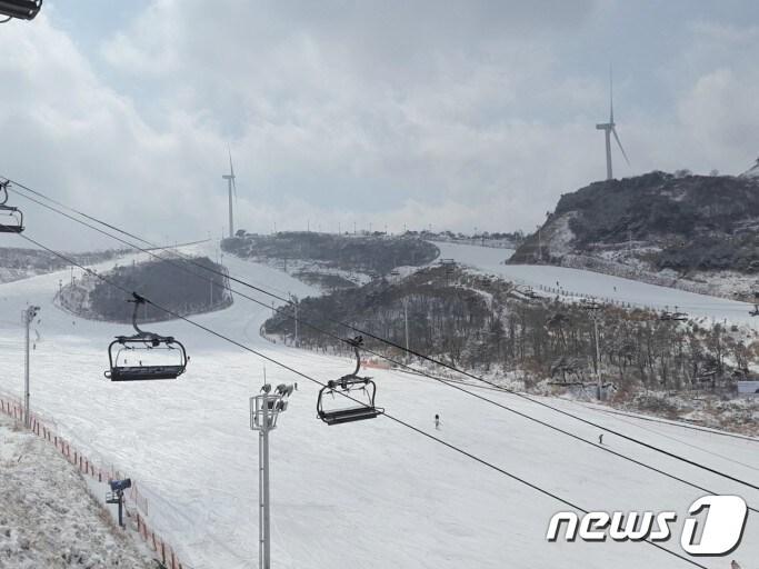 본문 이미지 - 경남 양산의 에덴밸리 스키장아 정부 방침에 따라 내년 1월3일까지 개장이 연기된다. 사진은 양산 에덴밸리 스키장 전경. ⓒ 뉴스1