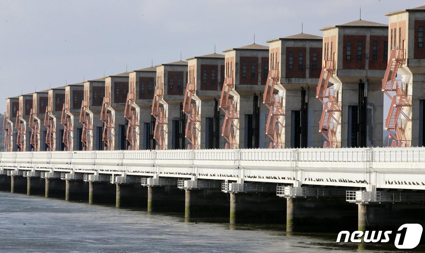 본문 이미지 - 전북 금강하굿둑 전경./ⓒ News1 DB