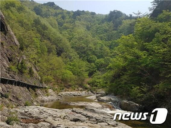 본문 이미지 - '삼척 덕풍계곡과 산림철도'ⓒ 뉴스1