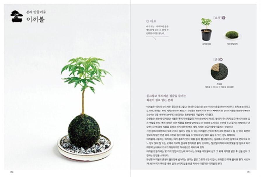본문 이미지 - 책 '우리집 작은 정원 미니분재 만들기' 속 이끼볼 만들기 