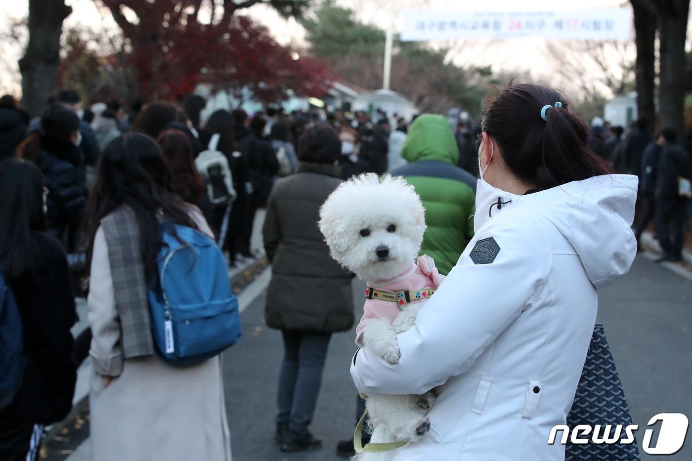 본문 이미지 - 3일 오후 대구혜화여자고등학교 교문 앞에서 2021학년도 대학수학능력시험 종료를 앞두고 학부모와 애완견이 수험생을 기다리고 있다. 2020.12.3/뉴스1 ⓒ News1 공정식 기자