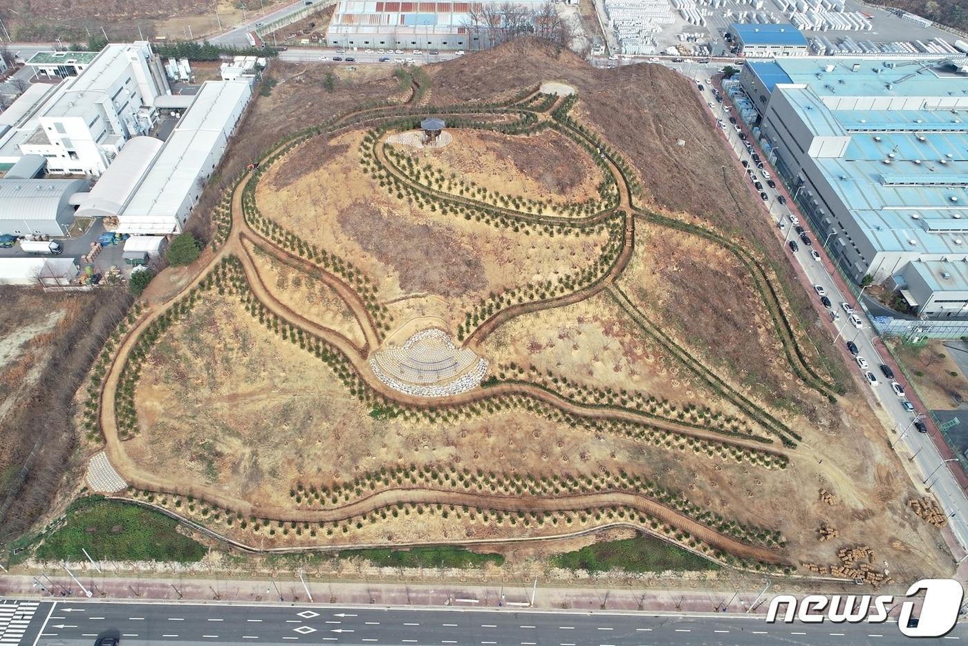 본문 이미지 - 12일 충북 충주시가 3년 동안 초미세먼지 농도를 35% 이상 줄이는 내용의 미세먼지 저감 정책을 추진한다고 밝혔다. 사진은 충주1산단 미세먼지 차단 숲.(뉴스1 DB)2021.3.12/ⓒ 뉴스1