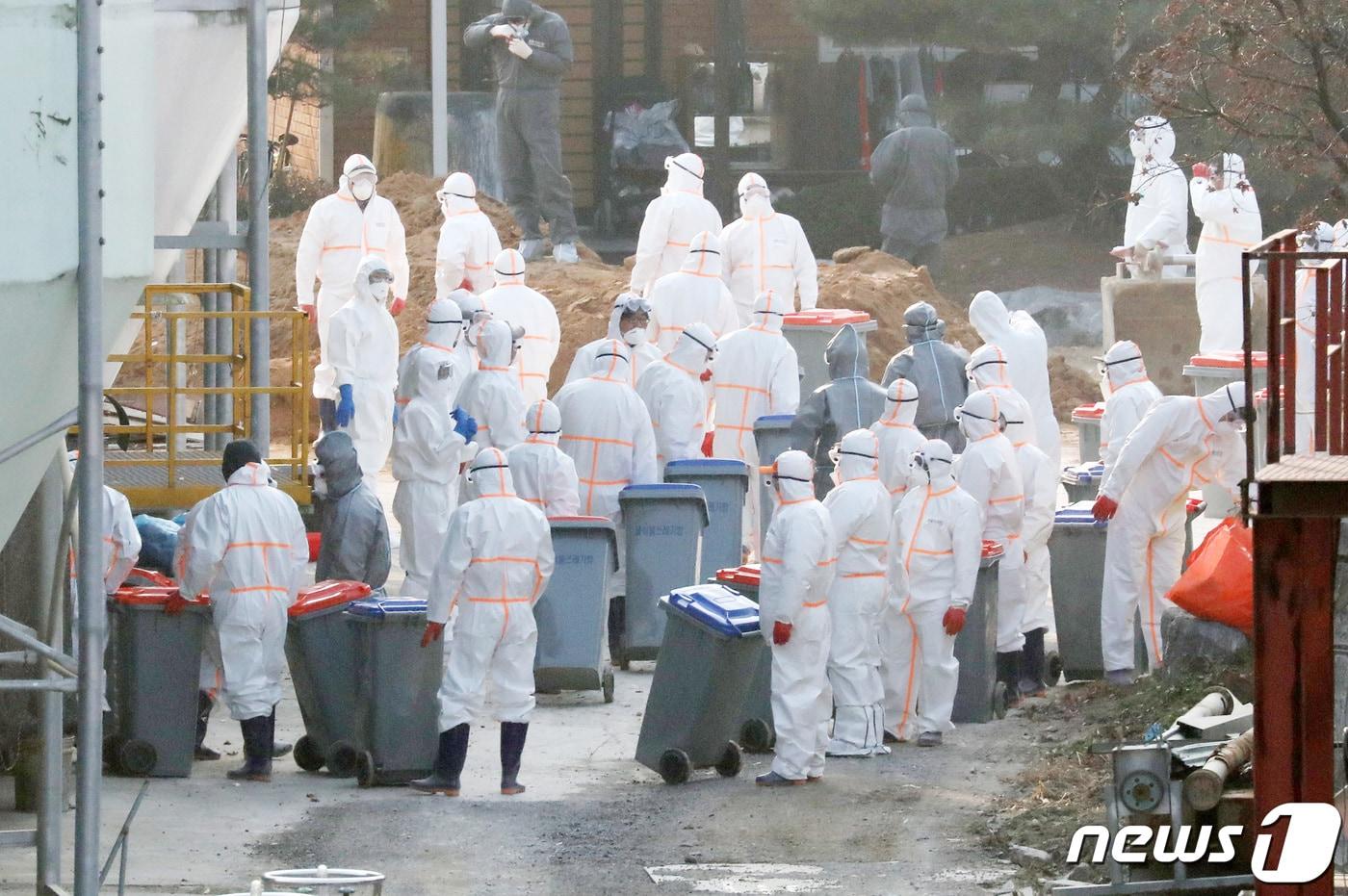 본문 이미지 - 7일 오후 경기도 여주시 가남읍 산란계 농장에서 H5형 조류인플루엔자(AI)가 발생해 방역당국이 예방적 살처분을 하고 있다. 정밀검사 결과 H5형 항원이 검출됐으며 고병원성 여부는 8일 확정될 예정이다. 2020.12.7 /뉴스1 ⓒ News1 조태형 기자