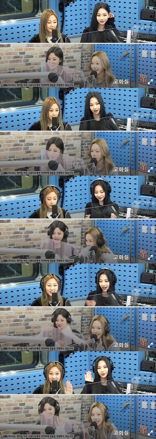 본문 이미지 - 최파타ⓒ 뉴스1