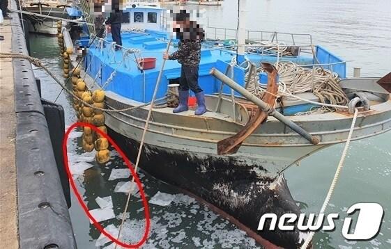 본문 이미지 - 13일 오전 9시10분쯤 전남 완도항 1부두 인근해상에 기름이 떠 있다는 신고를 받고 출동, 정밀조사를 벌였다.(완도해양경찰서 제공) 2020.2.13 /뉴스1 ⓒ News1