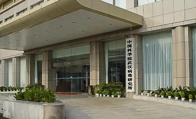 본문 이미지 - 우한병독&#40;바이러스&#41;연구소 - 웨이보 갈무리