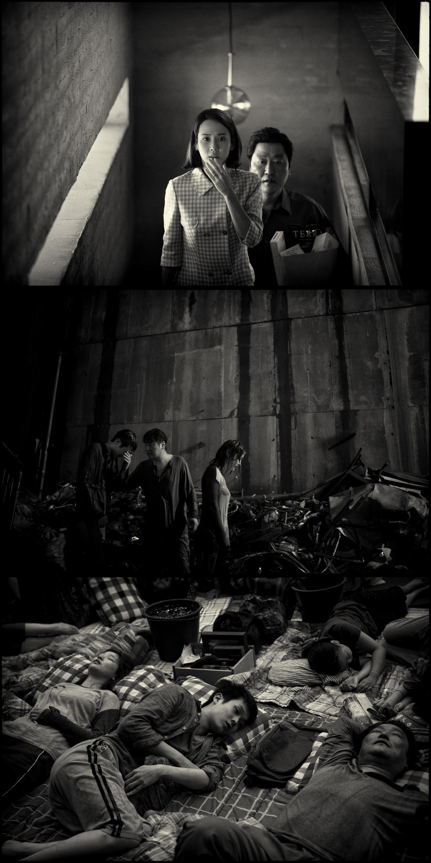 본문 이미지 - '기생충: 흑백판' 스틸 컷 ⓒ 뉴스1