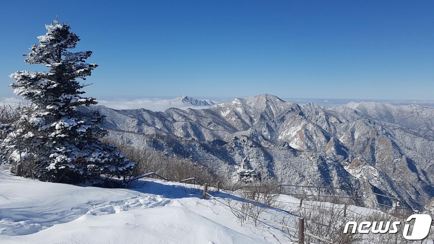 본문 이미지 - 전날 강원 산지를 중심으로 많은 눈이 내린 27일 오전 설악산 소청대피소 일대가 하얀 눈으로 뒤덮여 있다. (설악산국립공원사무소 제공) 2020.2.27/뉴스1 ⓒ News1