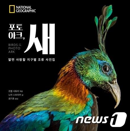 본문 이미지 - 포토아크 새, 알면 사랑할 지구별 조류 사진집 ⓒ 뉴스1
