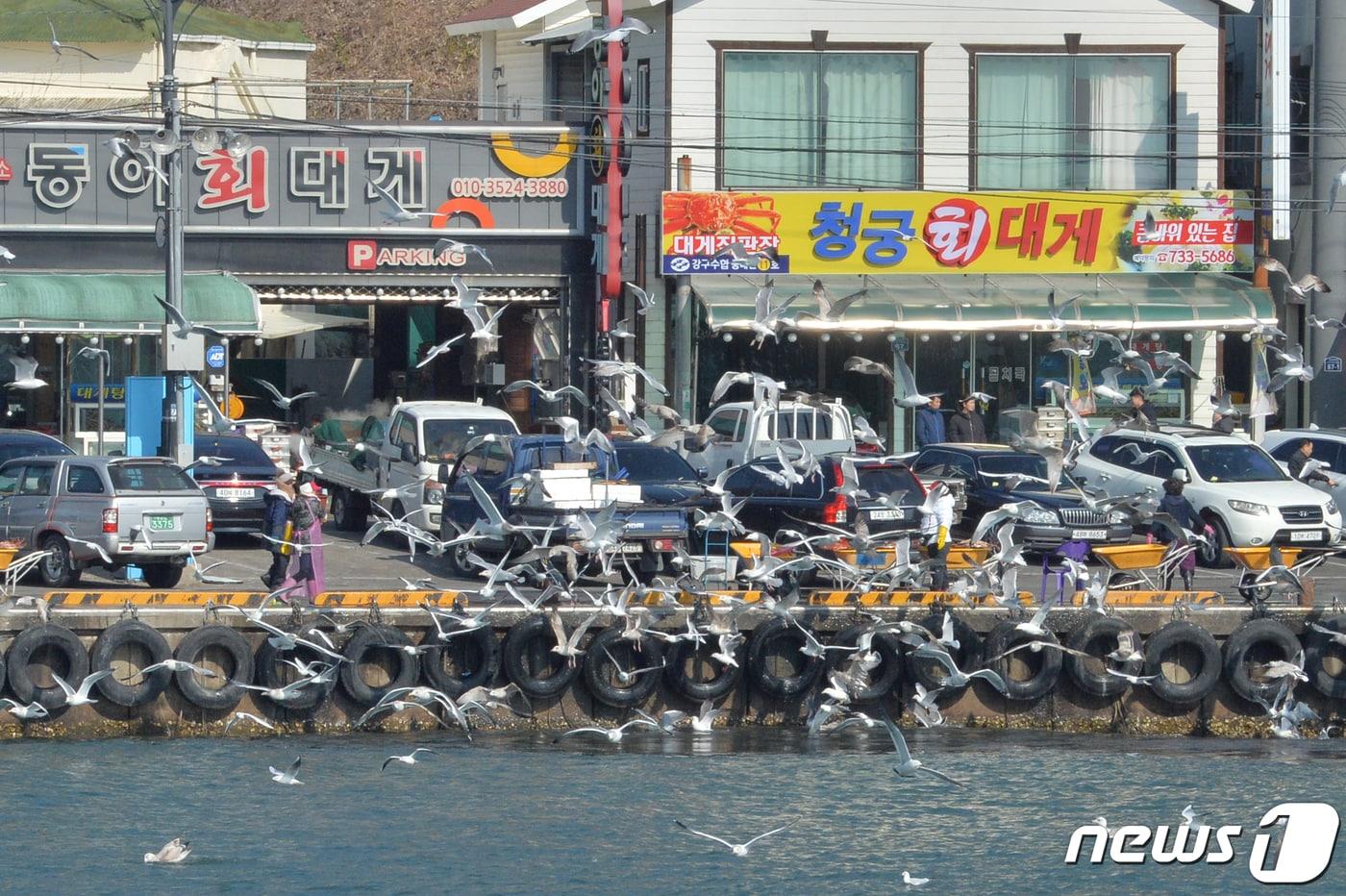 본문 이미지 - 빠르게 소비하는 일정 대신 바다 옆에서 머무는 느린 해안 여행이 확산되는 가운데, 경북 영덕군이 걷기·미식·캠핑을 아우른 체류형 해양 관광지로 주목받고 있다..뉴스1