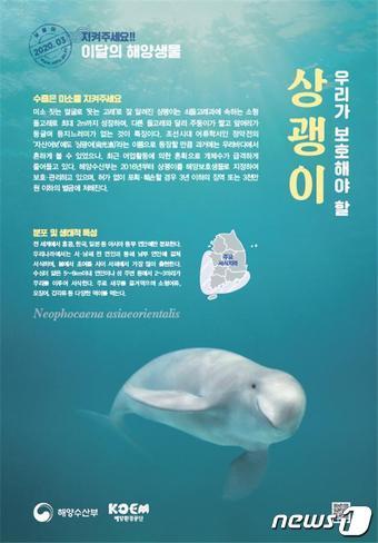 본문 이미지 - ⓒ 뉴스1