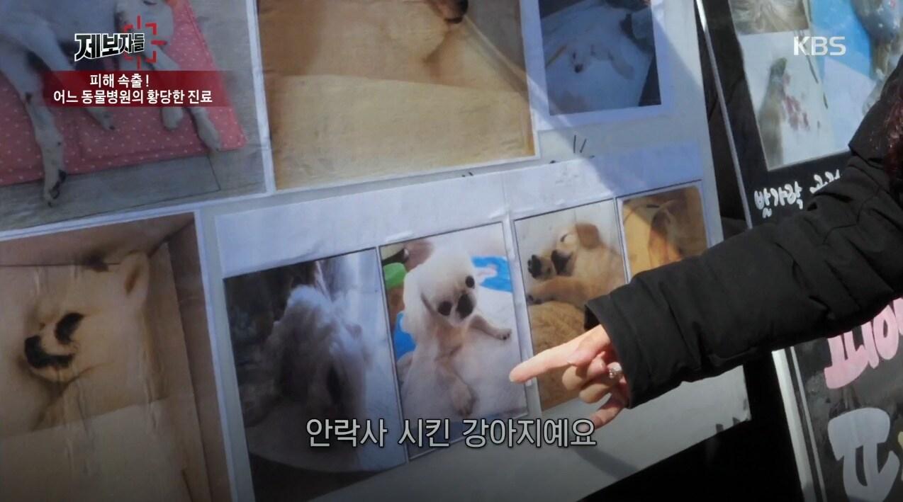 본문 이미지 - KBS '제보자들' ⓒ 뉴스1