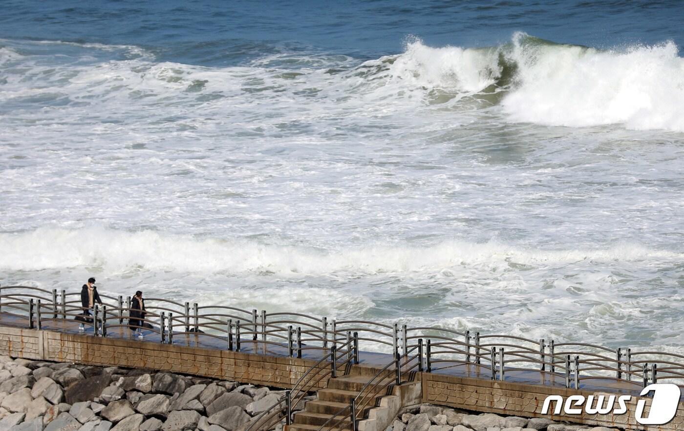 동해안 높은 파도.&#40;뉴스1 DB&#41;