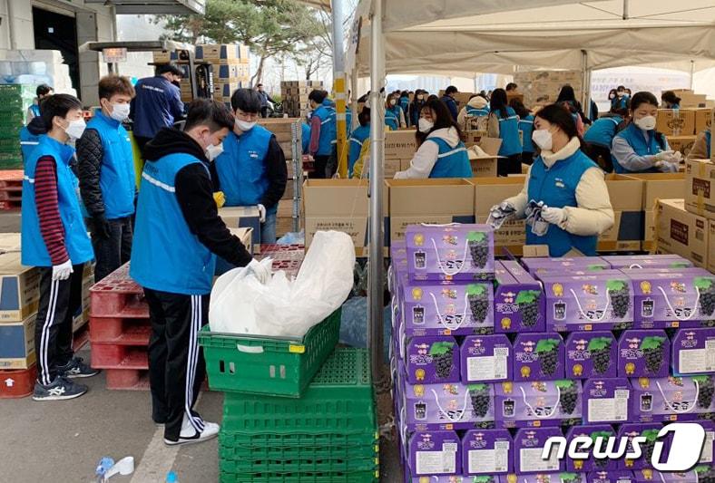본문 이미지 - 한국의 자원봉사자들이 자가 격리된 이들을 위해 식품 등을 포장하고 배달하는 유튜브 영상이 공개되면서 세계의 누리꾼들로부터 찬사를 얻고 있다. (경기도자원봉사센터 제공) 2020.3.16/뉴스1