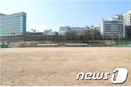 본문 이미지 - 자동차 극장이 운영될 성동 살곶이 체육공원의 모습.(성동구 제공)ⓒ 뉴스1