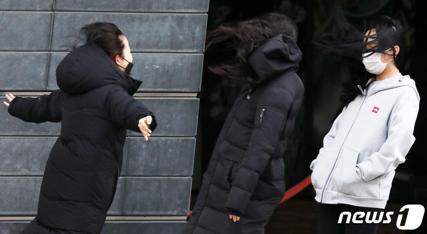 본문 이미지 - 기사 이해를 돕기 위한 바람 부는 거리 자료 사진으로, 기사 내용과 직접 관련 없음. ⓒ 뉴스1