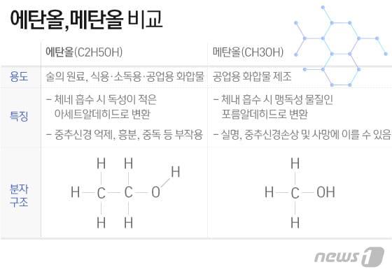 본문 이미지 - ⓒ News1 이지원 디자이너