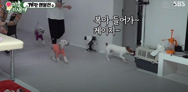 본문 이미지 - SBS '미운우리새끼' ⓒ 뉴스1