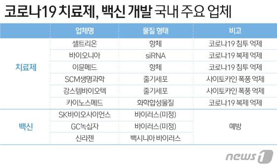 본문 이미지 - ⓒ News1 이은현 디자이너