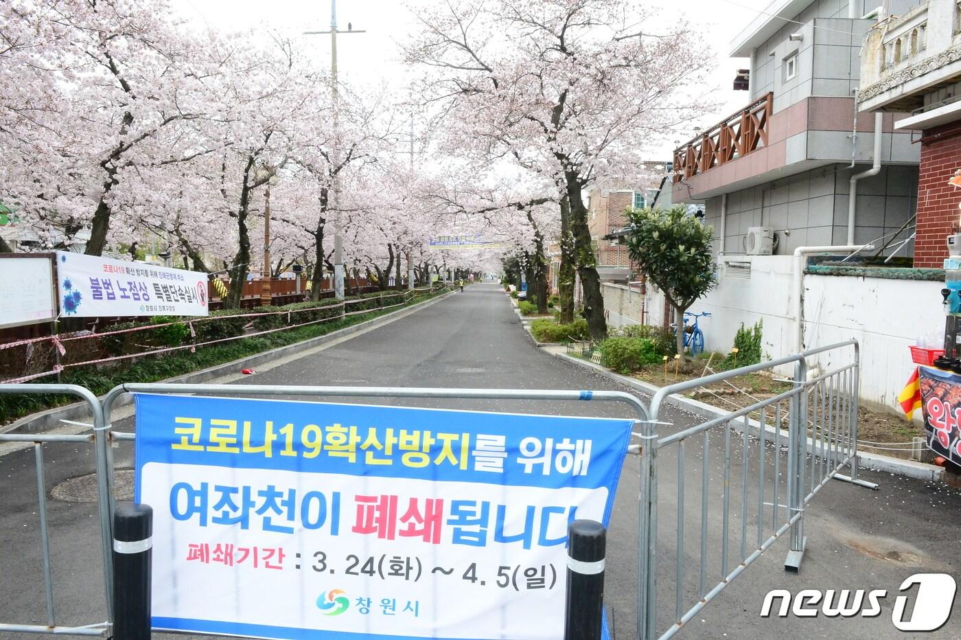 본문 이미지 - 28일 오전 경남 창원시 진해구 벚꽃 명소인 여좌천이 코로나19의 확산 방지를 위해 폐쇄 되면서 텅 비어있다. 2020.3.28./뉴스1 ⓒ News1 강대한 기자