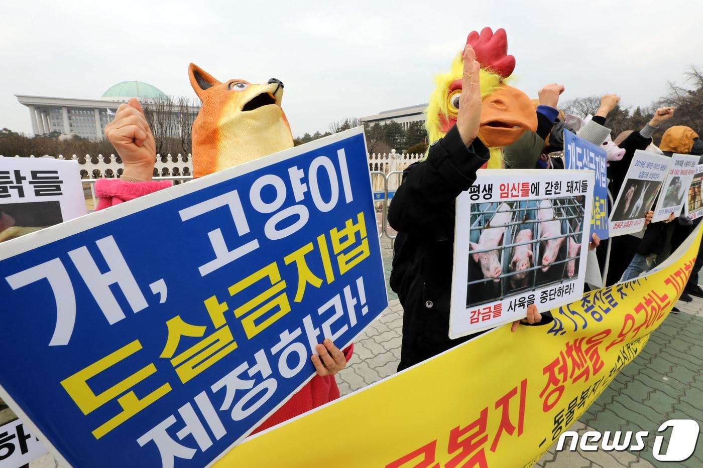 본문 이미지 - 동물복지 전국선거연대 회원들이 3일 오후 서울 여의도 국회 앞에서 개, 고양이 도살금지법 제정 등 동물복지 정책을 요구하는 기자회견을 하고 있다.2020.3.3/뉴스1 ⓒ News1 이광호 기자