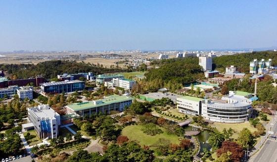 본문 이미지 - 군산대학교가 대학경쟁력을 강화하기 위해 학사구조를 개편한다.(사진은 군산대 교정)ⓒ 뉴스1