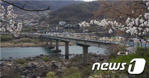 본문 이미지 - 1일 충북 충주사회단체연합회가 충주댐 인근에 있는 충원교를 관광자원으로 활용해야 한다고 주장했다. 사진은 충원교.2020.4.1/ⓒ 뉴스1