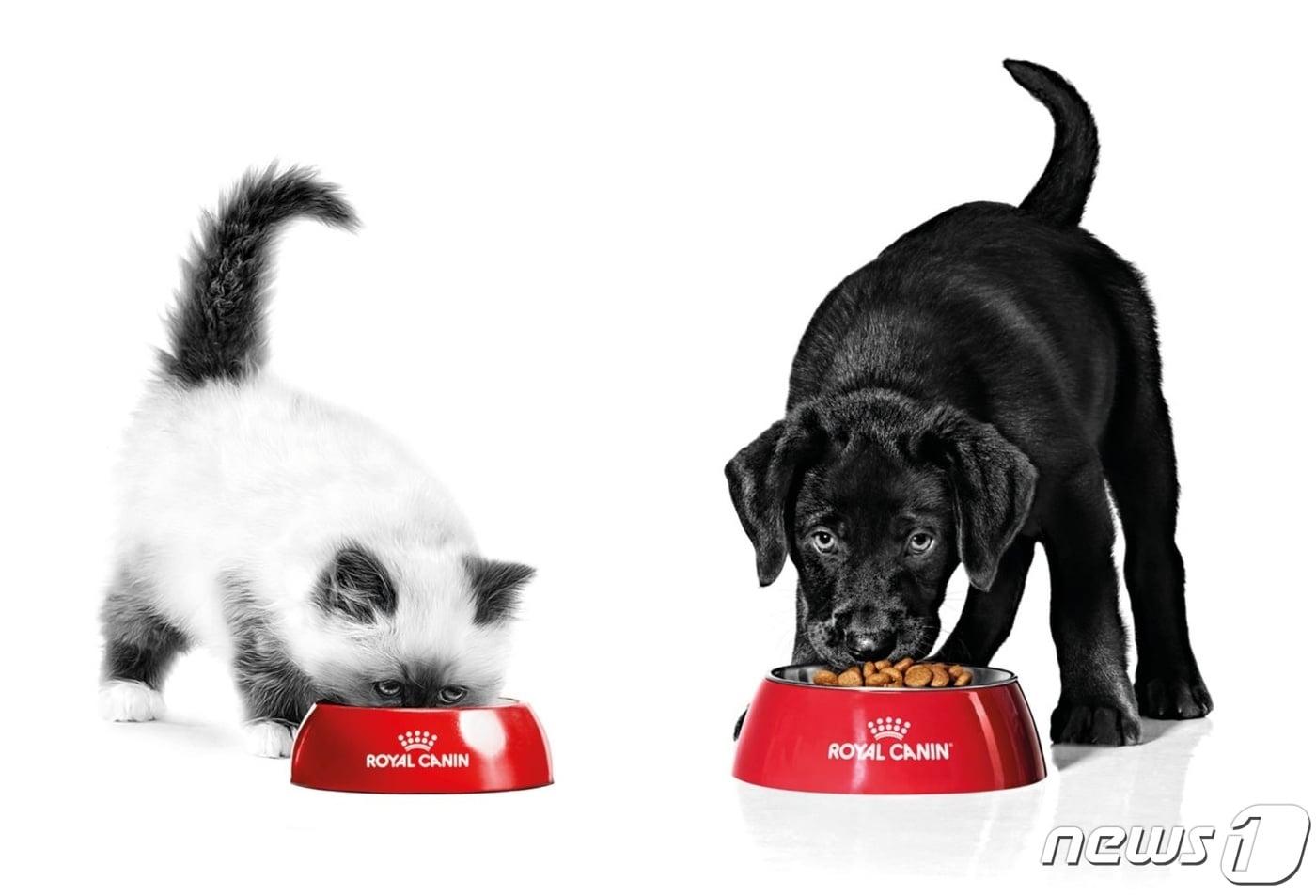 사진 로얄캐닌 제공 ⓒ 뉴스1