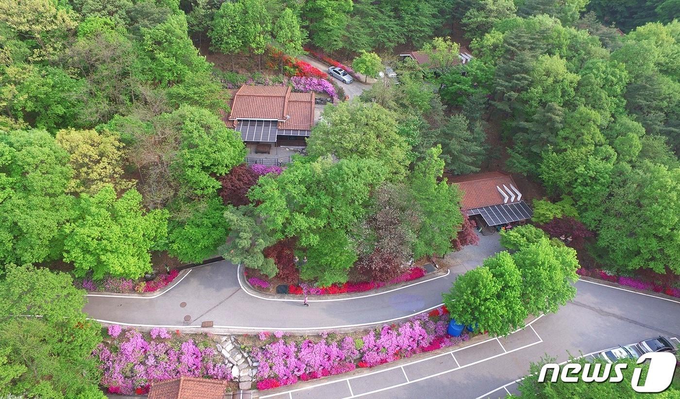 본문 이미지 - 10일 충북 음성군은 자연휴양림 할인 혜택을 인근 증평군과 진천군 주민에게 동일하게 적용한다고 밝혔다. 사진은 음성 수레의산자연휴양림.(음성군 제공)2020.04.10/ⓒ 뉴스1