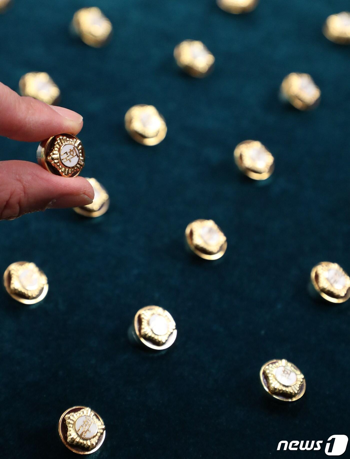 본문 이미지 - 국회의원 배지 ⓒ News1 DB 박세연 기자