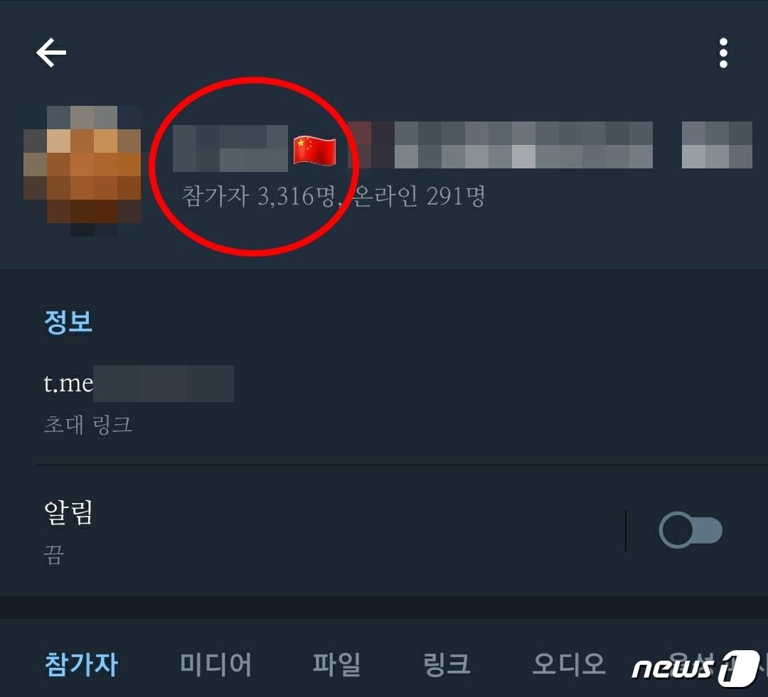 본문 이미지 - 한국말을 하는 피해자의 성착취영상이 중국어 대화가 빈번히 일어나는 채팅방에 업로드돼 있다. 중화인민공화국의 국기인 '오성홍기'가 채팅방 이름에 박혀있다. 해당 채팅방에는 14일 오후 기준 약 3300여명이 참여해 있다. ⓒ News1 황덕현 기자