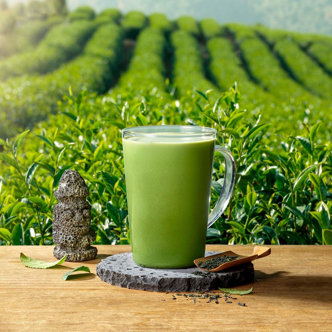 본문 이미지 - '유기농 말차로 만든 라떼'(스타벅스커피 코리아 제공)ⓒ 뉴스1