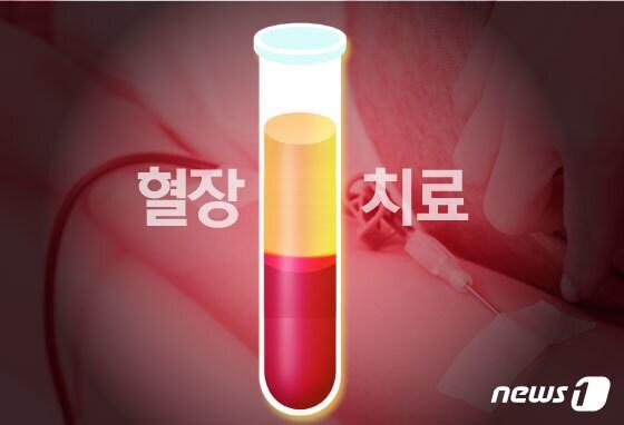 본문 이미지 - ⓒ News1 김일환 디자이너