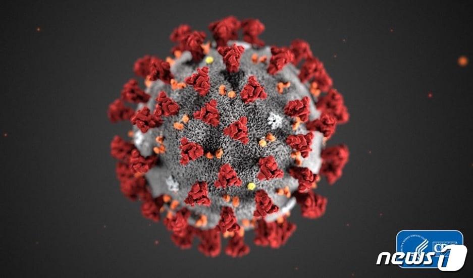 본문 이미지 - 정부가 20일부터 사회적 거리두기 완화조치에 나서자 감염전문가인 백경란 감염학회 이사장은 20일 코로나19 바이러스 확산을 막으려면 '사회적 거리두기 완화'는 '개인적 거리두기 강화'로 이해해 줄 것을 당부했다.  CDC홈페이지 갈무리 ⓒ뉴스1