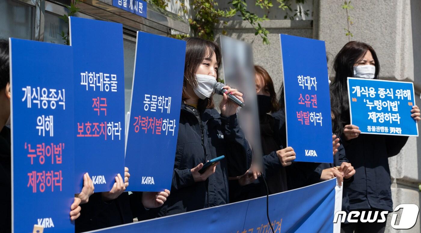 본문 이미지 - 동물권행동 카라 회원들이 23일 오전 경기도 성남시 중원구 수원지방검찰청 성남지청에서 동물학대 엄벌 및 누렁이법 제정 촉구 기자회견을 하고 있다. 2020.4.23/뉴스1 ⓒ News1 이재명 기자