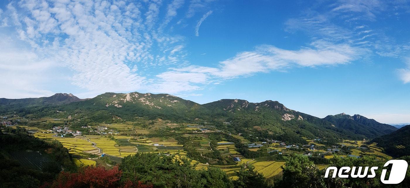 본문 이미지 - (사진=산청군)ⓒ 뉴스1