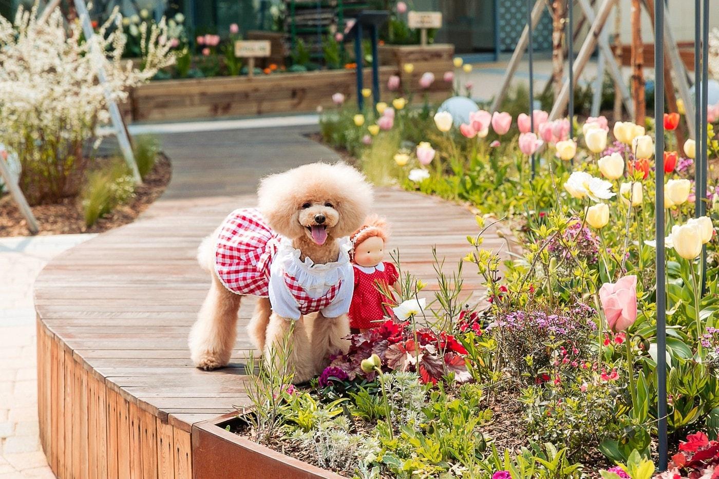 스타필드 시티 부천 스타가든 사진 ⓒ 뉴스1(스타필드 제공)