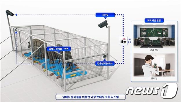 본문 이미지 - 실험 개요(ETRI 제공)ⓒ 뉴스1
