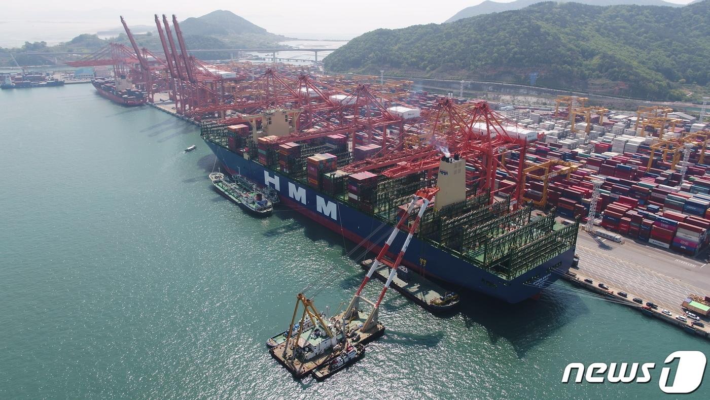 부산 강서구 현대부산신항만&#40;HPNT&#41;에 정박해 있는 &#39;알헤시라스호&#39;에 항만 노동자들이 물량 작업을 하고 있다. ⓒ News1 